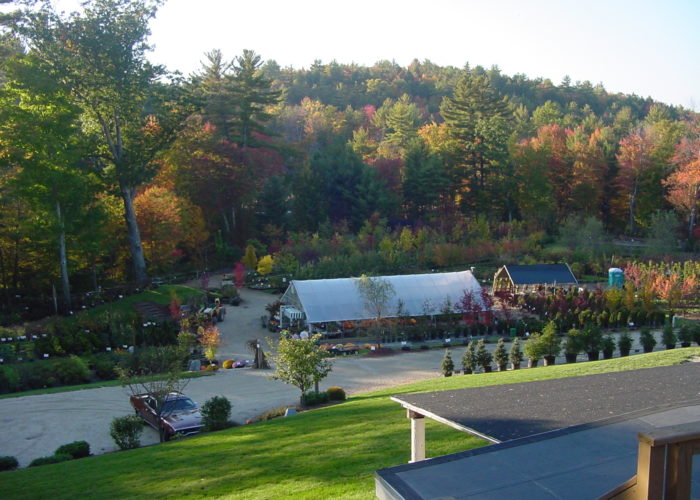 Scenic Nursery in all its fall glory