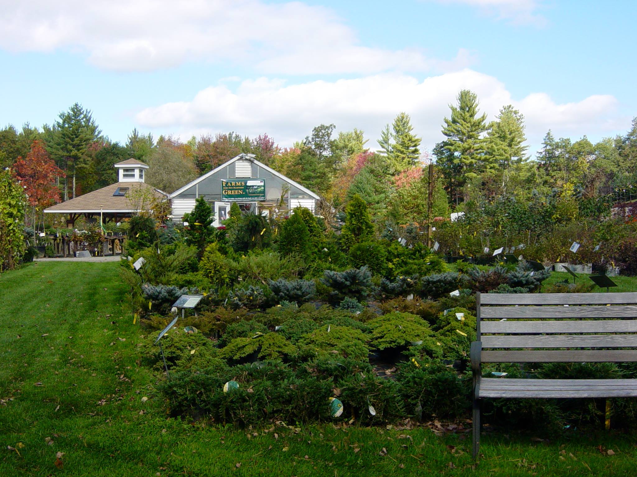 About Scenic Nursery and Landscaping